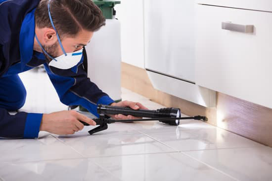 Pest Control Services in Coimbatore, termite control in Coimbatore, rodent control in Coimbatore, pest control services for bed bugs and ants in Coimbatore, pest management solutions for businesses in Coimbatore