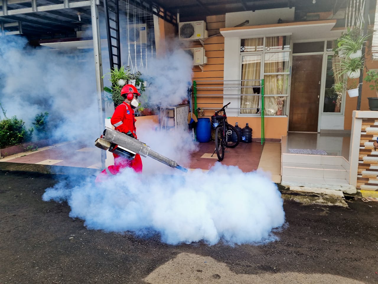 Pest Control Services in Coimbatore, termite control in Coimbatore, rodent control in Coimbatore, pest control services for bed bugs and ants in Coimbatore, pest management solutions for businesses in Coimbatore