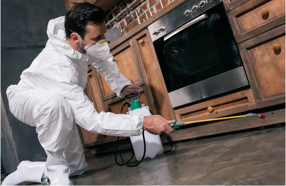 Pest Control Services in Ambur, termite control in Ambur, rodent control in Ambur, pest control services for bed bugs and ants in Ambur, pest management solutions for businesses in Ambur