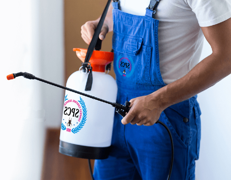 Pest Control Services in Ambur, termite control in Ambur, rodent control in Ambur, pest control services for bed bugs and ants in Ambur, pest management solutions for businesses in Ambur