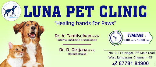 pet clinic hospital in Chennai,top  pet clinic center near me  in Chennai, popular pet clinic therapist near me in Chennai,animals doctorctor in Chennai