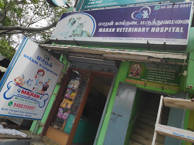 pet clinic hospital in Tiruvannamalai,top  pet clinic center near me  in Tiruvannamalai, popular pet clinic therapist near me in Tiruvannamalai,animals doctorctor in Tiruvannamalai