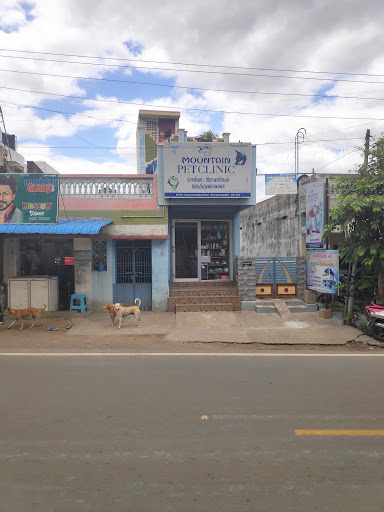 pet clinic hospital in Tiruvannamalai,top  pet clinic center near me  in Tiruvannamalai, popular pet clinic therapist near me in Tiruvannamalai,animals doctorctor in Tiruvannamalai