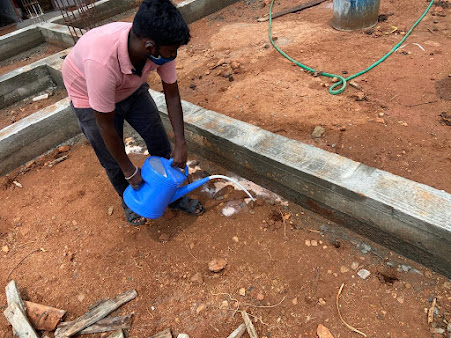 pest control service in Tirunelveli, termite control in Tirunelveli, rodent control in Tirunelveli, pest control services for bed bugs and ants in Tirunelveli, pest management solutions for businesses in Tirunelveli