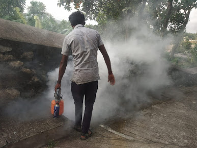Pest Control Services in Kanniyakumari, termite control in Kanniyakumari, rodent control in Kanniyakumari, pest control services for bed bugs and ants in Kanniyakumari, pest management solutions for businesses in Kanniyakumari