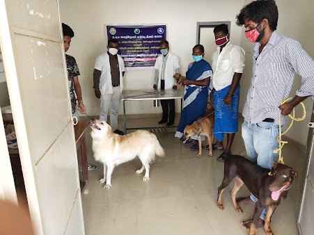 pet clinic hospital in Jayankondam,top  pet clinic center near me  in Jayankondam, popular pet clinic therapist near me in Jayankondam,animals doctorctor in Jayankondam