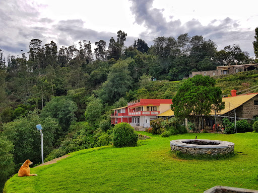 budget hotel in Kodaikanal, resort in Kodaikanal, affordable hotel accommodations near in Kodaikanal, Best luxury hotel with spa and pool services in Kodaikanal, Hotels with conference facilities in Kodaikanal, Pet-friendly hotels near in Kodaikanal