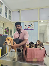 pet clinic hospital in Vellore,top  pet clinic center near me  in Vellore, popular pet clinic therapist near me in Vellore,animals doctorctor in Vellore
