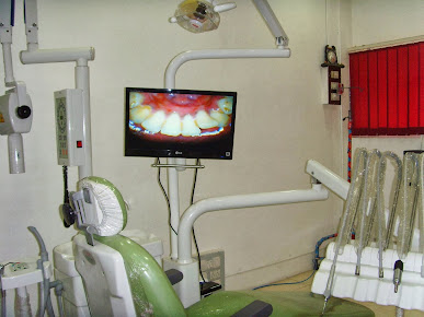 pet dental care in Sivagangai, pet dental clinic in Sivagangai, pet dental clinic for dogs in Sivagangai,pet dental clinic for cats. in Sivagangai