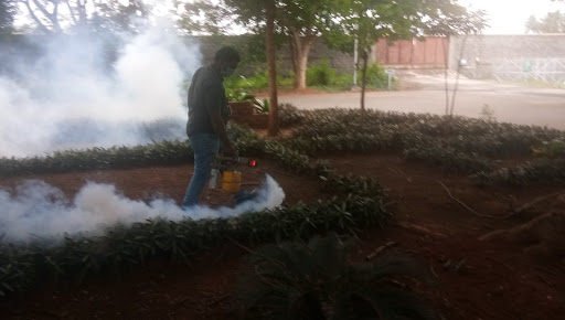 pest control service in Mettupalayam, termite control in Mettupalayam, rodent control in Mettupalayam, pest control services for bed bugs and ants in Mettupalayam, pest management solutions for businesses in Mettupalayam