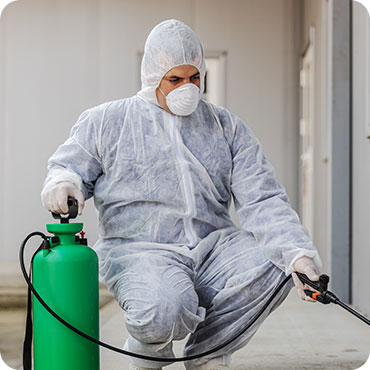 pest control service in Hosur, termite control in Hosur, rodent control in Hosur, pest control services for bed bugs and ants in Hosur, pest management solutions for businesses in Hosur